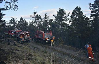 GÜNCELLEME - Sinop'ta orman yangını