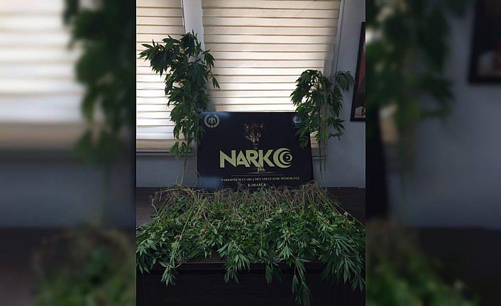 Hint keneviri yetiştiren şüpheli tutuklandı