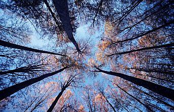 Nebiyan Dağı'nda doğa festivali düzenlenecek