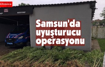 Samsun'da uyuşturucu operasyonu