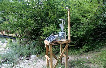 Şimşir güvesine karşı 