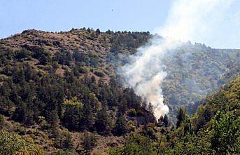 Tokat'ta çıkan orman yangını büyümeden söndürüldü
