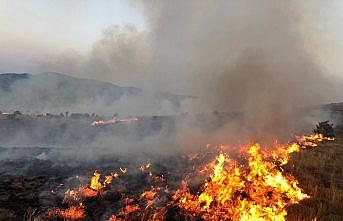 Tokat'ta tarla yangını