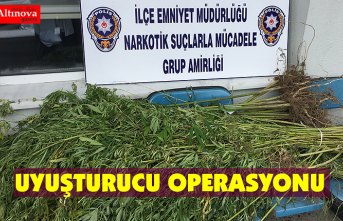 Uyuşturucu operasyonu