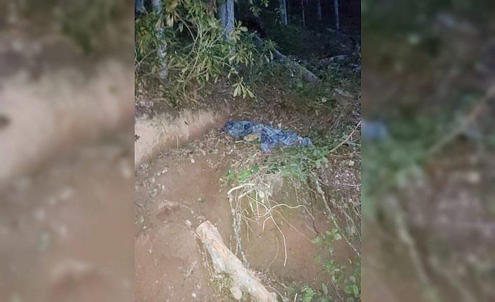 Üzerine ağaç devrilen orman işçisi öldü