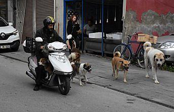 Yalnızlığını sokak hayvanları sayesinde unuttu