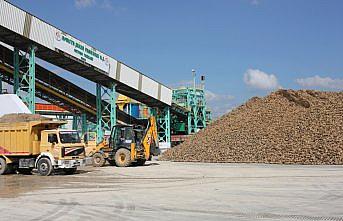 Amasya Şeker Fabrikası'nda 66. kampanya dönemi başladı