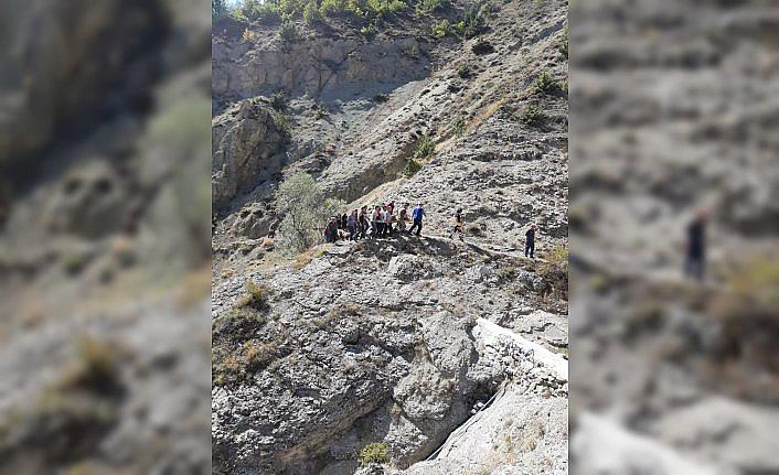 Ceviz ağacından düşen yaşlı kadın ağır yaralandı