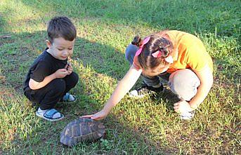 Çocukların bulduğu kara kaplumbağasını sahiplendi