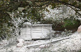 Düzce'de devrilen traktörün altında kalan kişi öldü