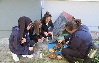 Hayvan sevgisi aşılamak için okulda köpek bakıyorlar