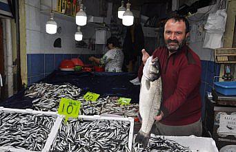 İnebolu'da 6 kilogramlık levrek balığı yakalandı