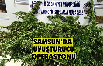 Samsun'da uyuşturucu operasyonu