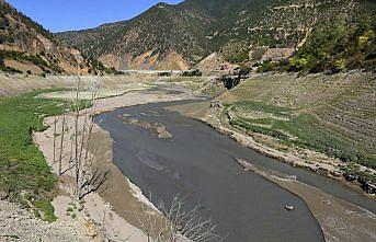 Sular çekilince tarihi Torul Köprüsü ortaya çıktı