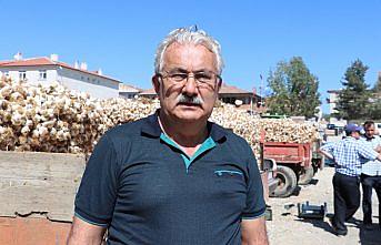 Taşköprülü üreticiler sarımsak fiyatlarından memnun