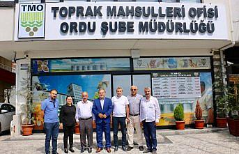 TMO, Ordu'da 3 bin tona yakın fındık aldı