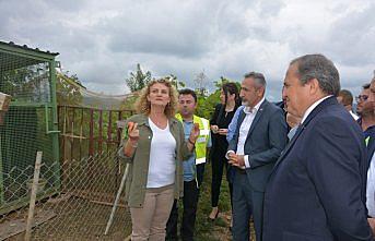 Torun, Ordu'daki maden sahasında incelemelerde bulundu