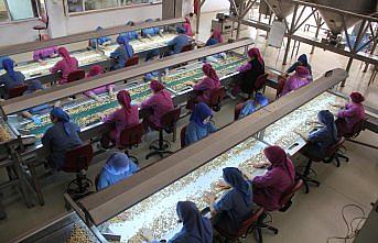 Türkiye en fazla fındığı Almanya'ya sattı