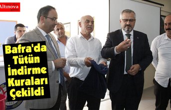 Bafra'da Tütün İndirme Kuraları Çekildi 