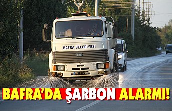 Bafra'da Şarbon Alarmı, Her yer ilaçlandı