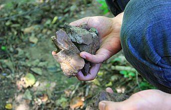 Bartın Üniversitesinin keşfi bölge tarihini değiştirecek