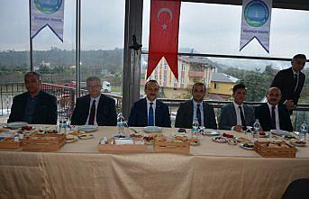 Fatsa'da hamsi festivali düzenlenecek