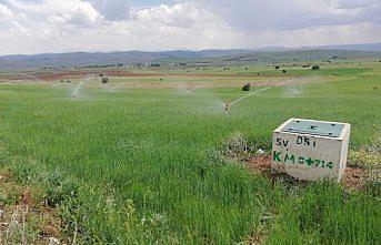 Gümüşhane'de 116 bin 980 dekar arazi su ile buluştu