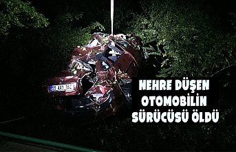 Nehre düşen otomobilin sürücüsü öldü
