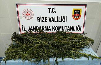 Rize'de uyuşturucu operasyonu