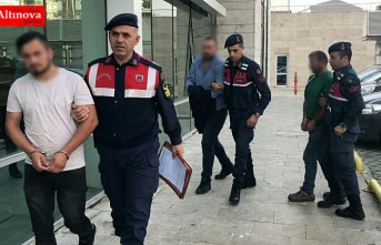 Samsun'da hayvan hırsızlığı iddiası