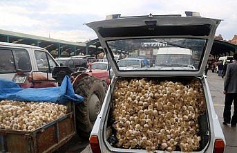 Sarımsak fiyatı düşüşe geçti