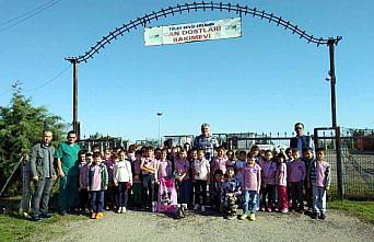 Sinop'ta öğrenciler hayvan barınağını ziyaret etti