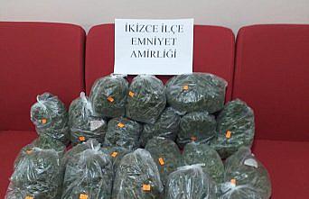 Uyuşturucuyu arı kovanına saklamış