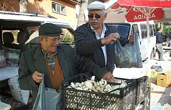 Vatandaşlara zehirli mantar uyarısı