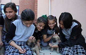 Yaptıkları iş küçük kalpleri büyük