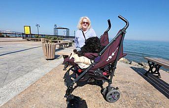 Yaşlı ve hasta köpeğine 