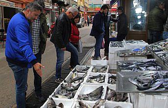 Balıkçı tezgahları karagöz, eşkina ve minekop ile şenlendi