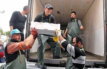 Batı Karadeniz'de hamsi bolluğu yüzleri güldürdü