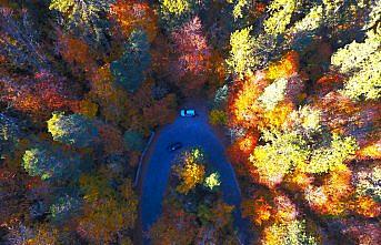 Bolu ve Düzce, sonbahar güzelliğine büründü