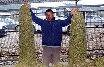 Dalında 15 lira, ipe dizilince 