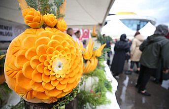 Düzce Kabak ve Kestane Festivali başladı
