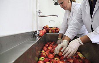 Hobileri girişimci ruhuyla sirke markasına dönüştü