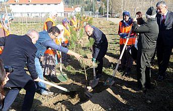 Kastamonu 11 Kasım'daki ağaçlandırma seferberliğine hazır