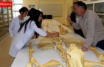 Kırşehir'de bulunan milyon yıllık fosiller dünya literatürüne kazandırılacak