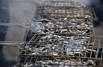 Ordu'da üniversite öğrencileri bir ton hamsi tüketti