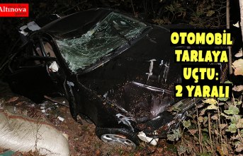 OTOMOBİL TARLAYA UÇTU: 2 YARALI