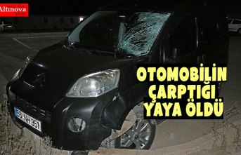 Otomobilin çarptığı yaya öldü