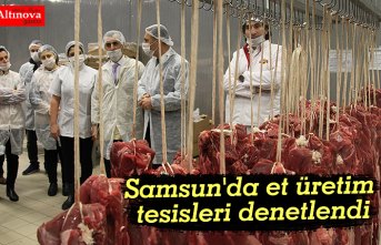 Samsun'da et üretim tesisleri denetlendi