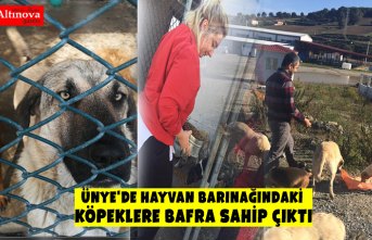 Ünye'de hayvan barınağındaki  köpeklere Bafra sahip çıktı