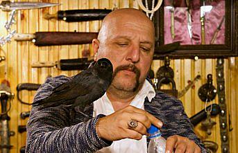 Vaktinin büyük bölümünü karga 